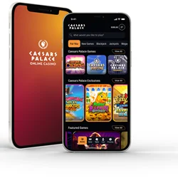 c7娱乐移动端体验